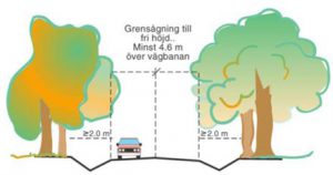 röjning och slåtter